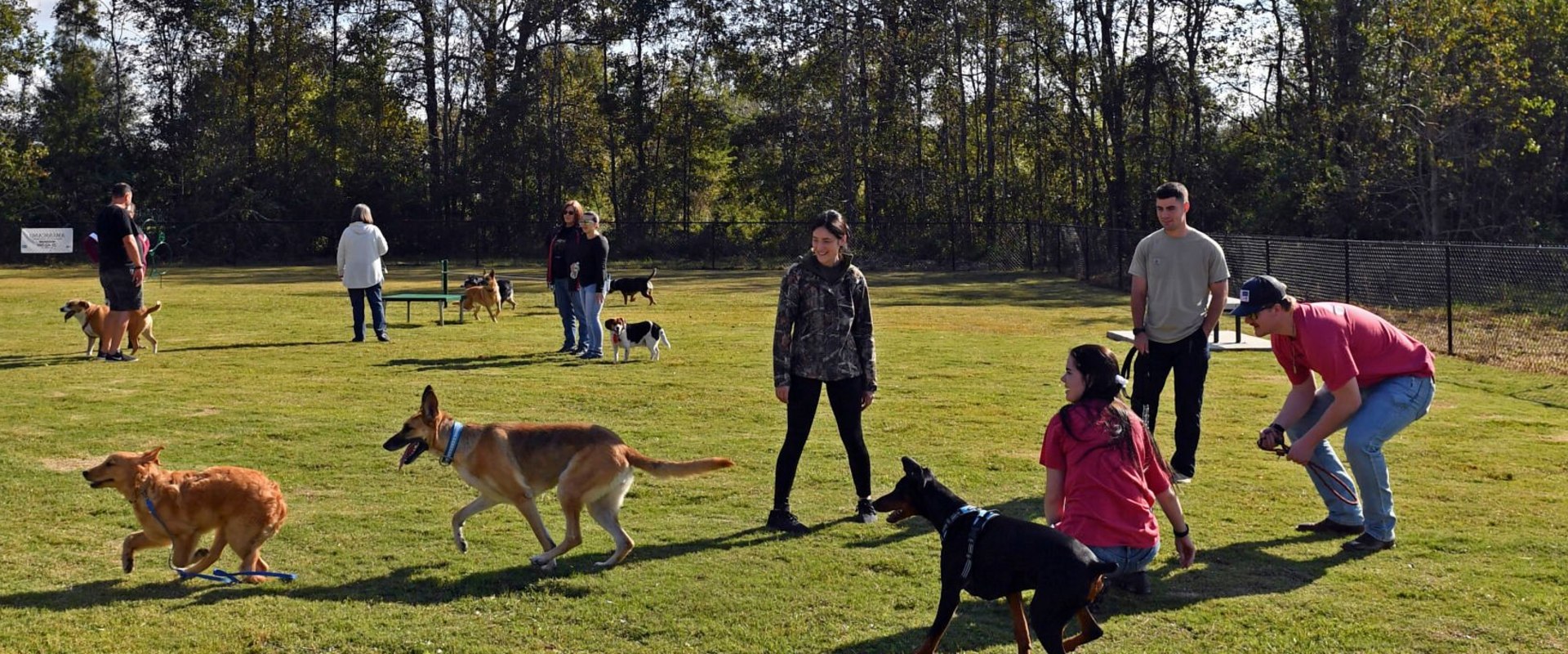 Shared Housing in New Orleans: What Pet Owners Need to Know