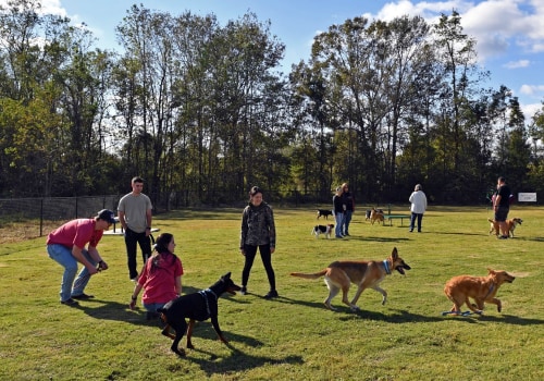 Shared Housing in New Orleans: What Pet Owners Need to Know